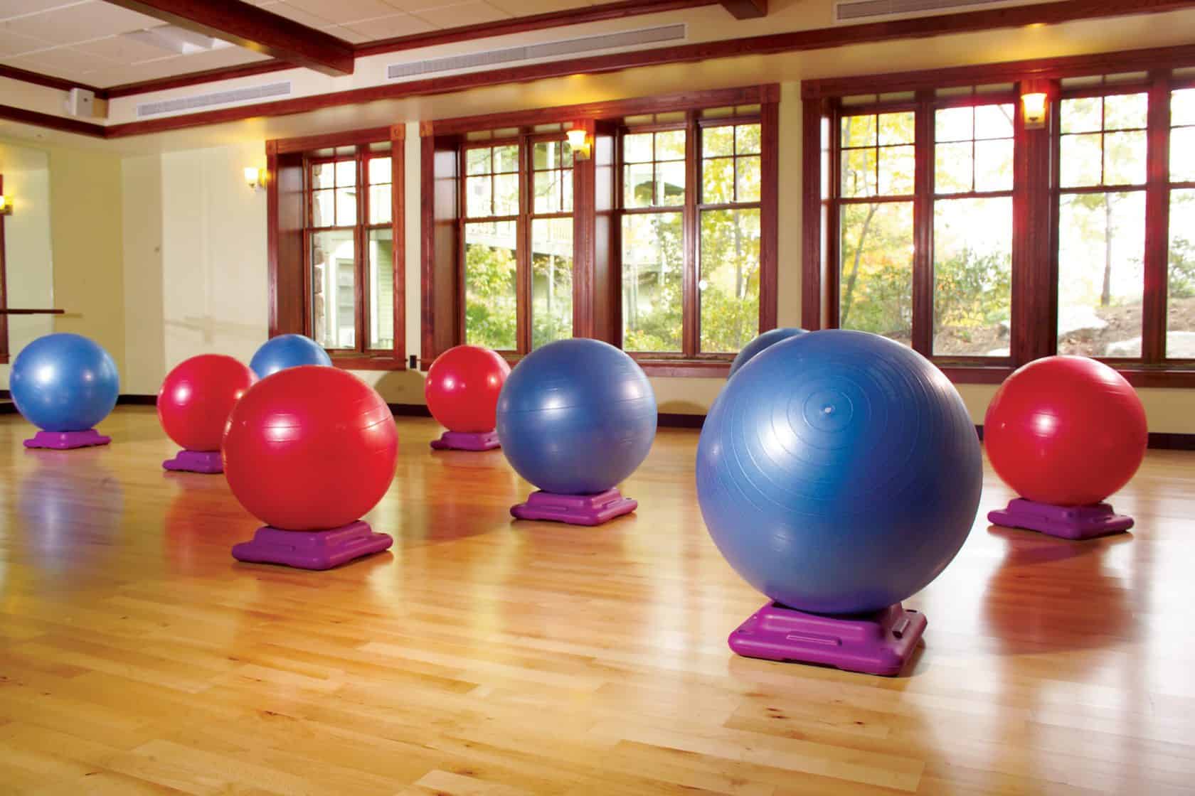 An exercise room with balance balls with a view of trees